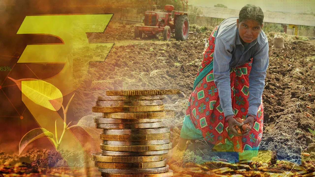 Budget 2025 organic farming